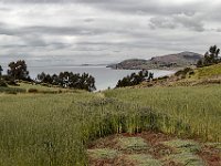 07 - GIMP - Lac Titicaca - IMG 2110-1-TSV - Filtre Netteté